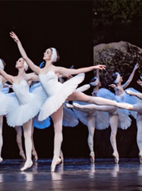 今日开票&早鸟优惠丨此生必看的经典绝美芭蕾舞剧《天鹅湖》