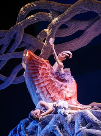 美到窒息！豆瓣评分8.8的舞剧《朱鹮》唯美来袭！